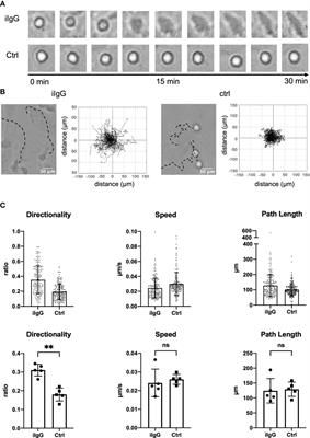 Immune complex-induced haptokinesis in human non-classical monocytes